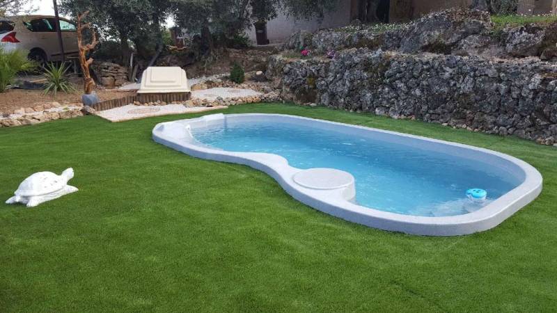 Mini piscine forme libre installée à Lorgues dans le var
