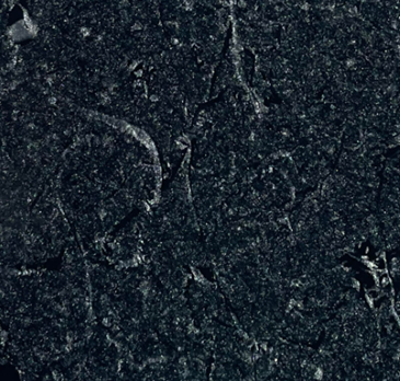 coque noire dans le Var à Fréjus