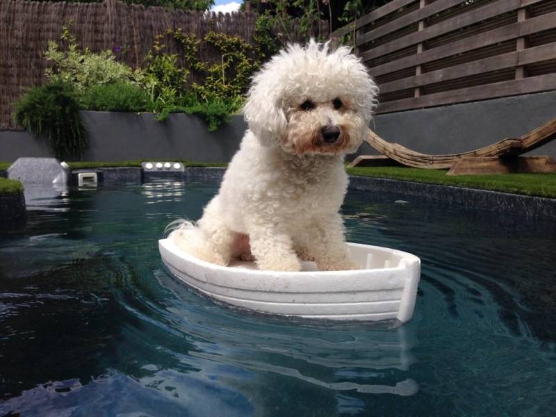 San Rémo à Béthune dans le Pas de Calais